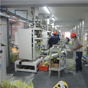 Erweiterte Waschpulver-Ausrüstung Waschpulver-Anlage
